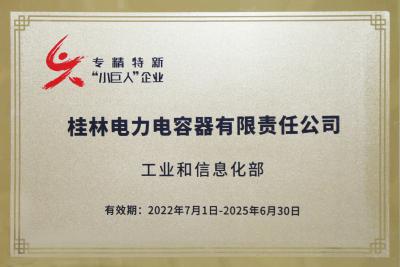 國(guó)家級(jí)“專(zhuān)精特新”重點(diǎn)小巨人企業(yè)